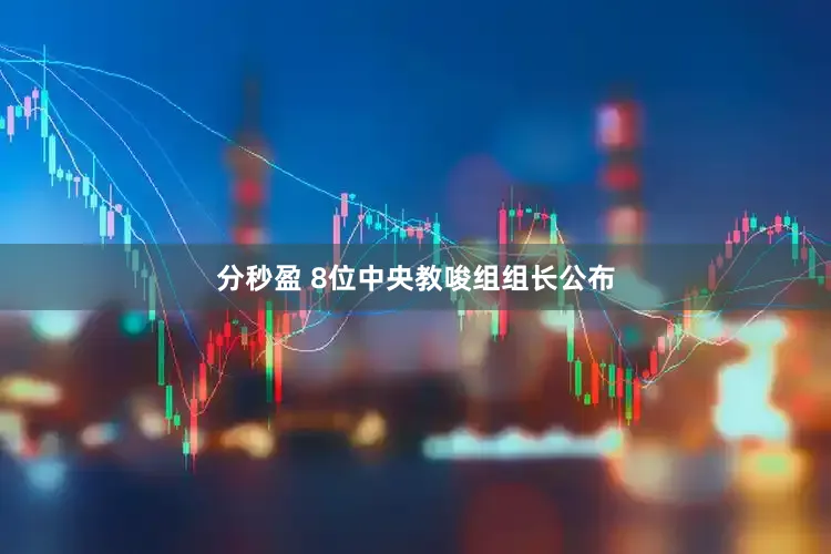 分秒盈 8位中央教唆组组长公布