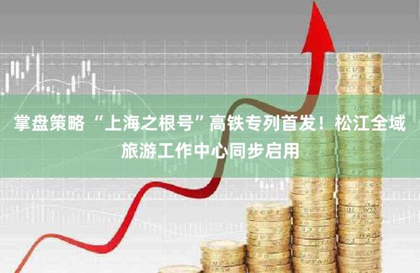 掌盘策略 “上海之根号”高铁专列首发！松江全域旅游工作中心同步启用
