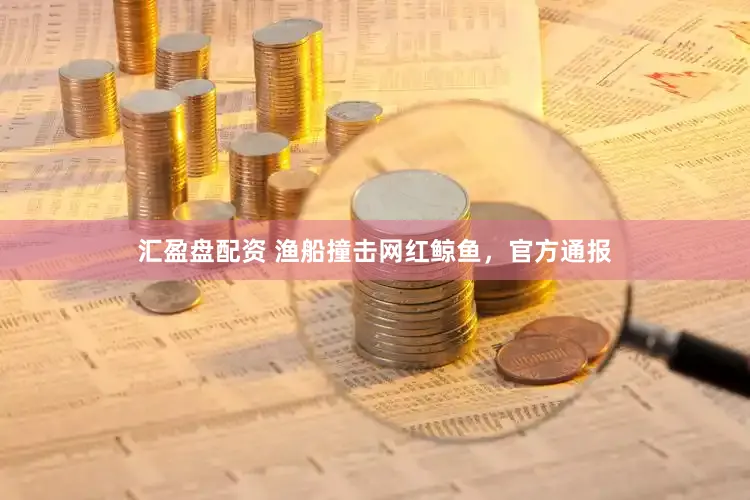 汇盈盘配资 渔船撞击网红鲸鱼，官方通报