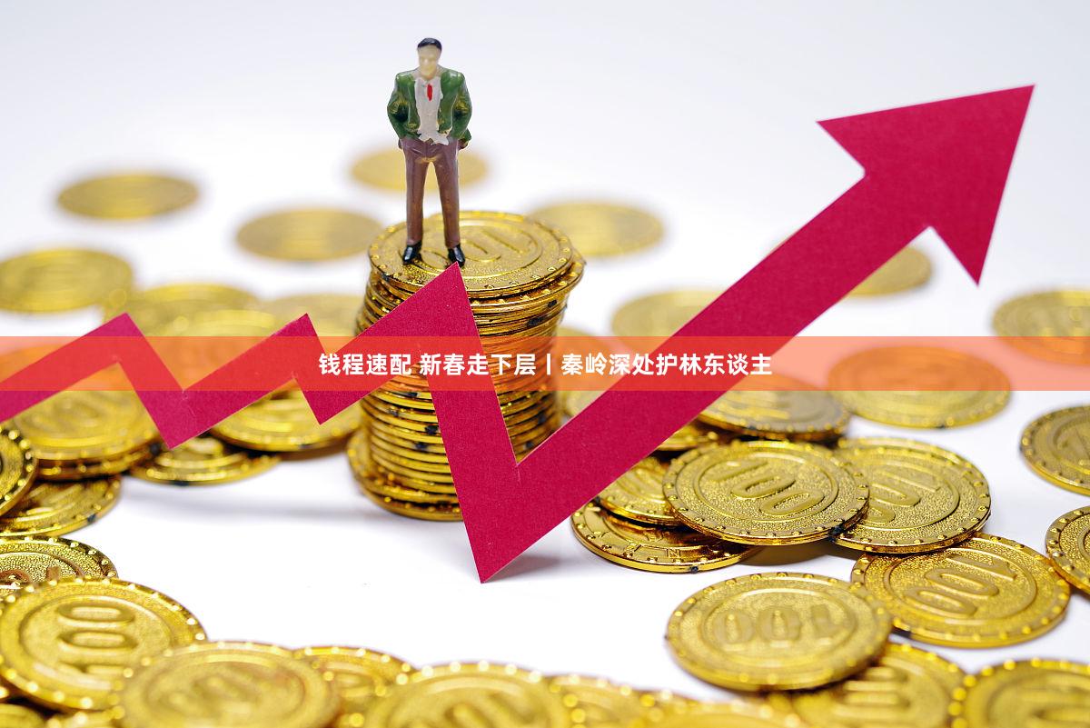 钱程速配 新春走下层丨秦岭深处护林东谈主