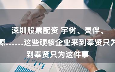 深圳股票配资 宇树、灵伴、松延能源……这些硬核企业来到奉贤只为这件事