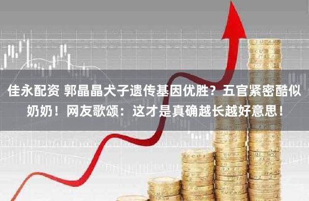佳永配资 郭晶晶犬子遗传基因优胜？五官紧密酷似奶奶！网友歌颂：这才是真确越长越好意思！